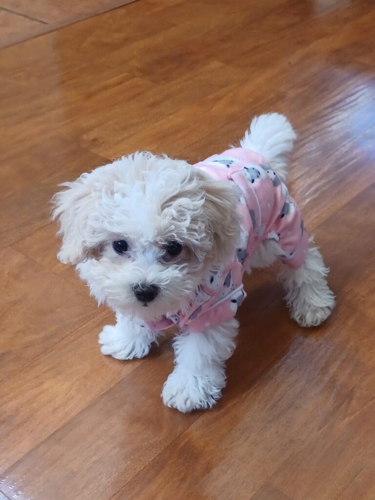 Chloe in Pajamas